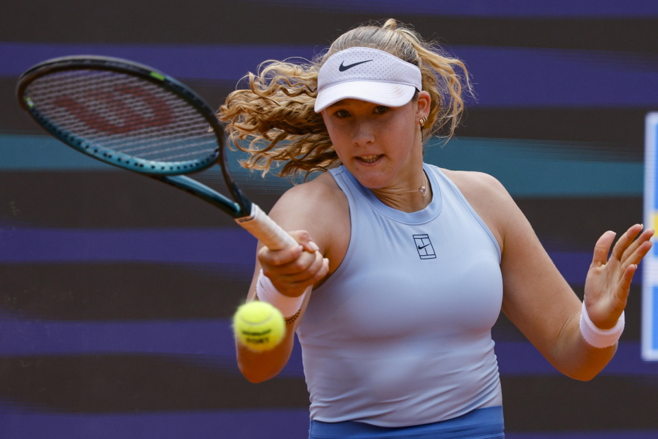 洲城市举办 洲城市举办