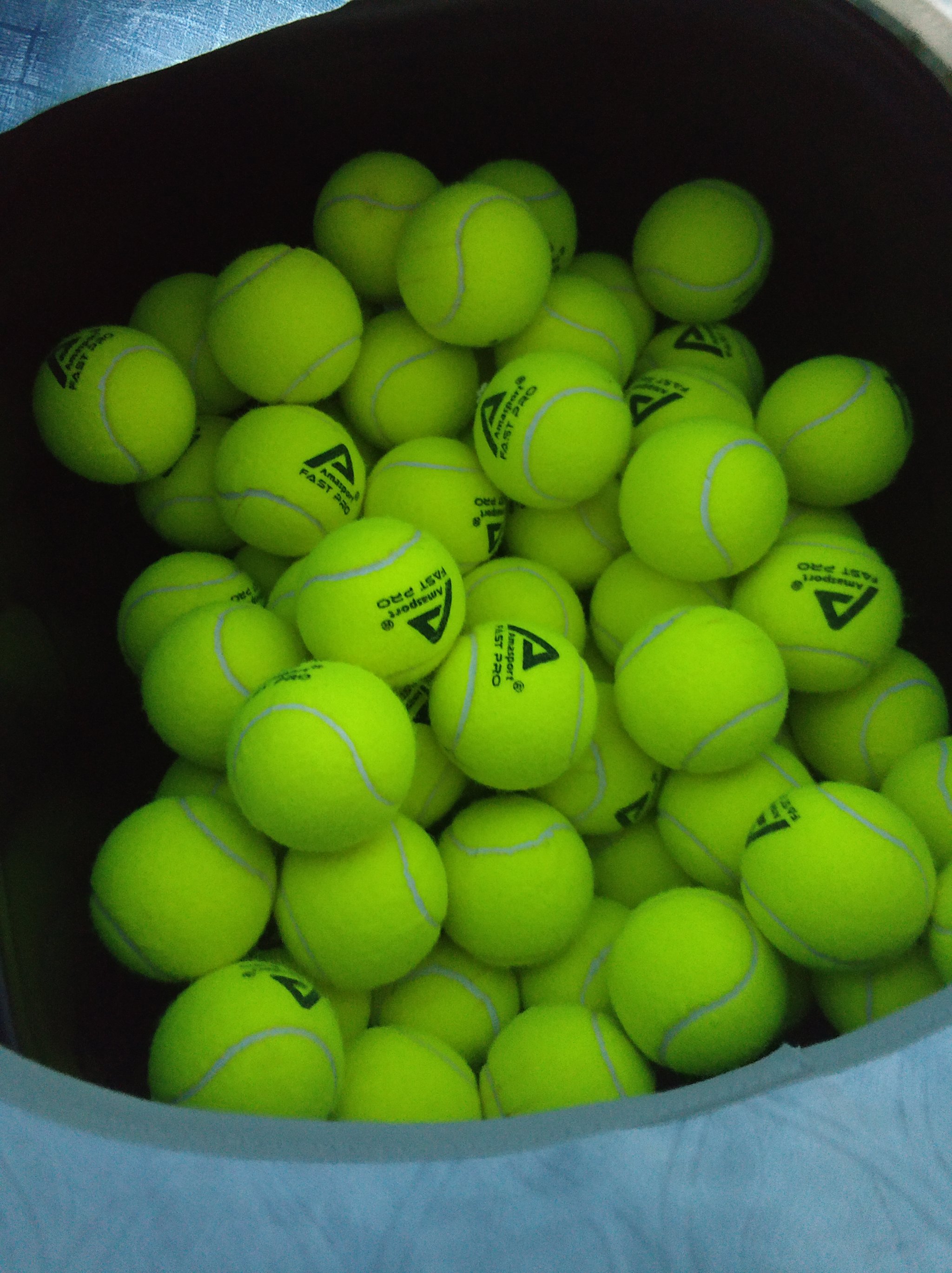 转逻辑的精 转逻辑的精