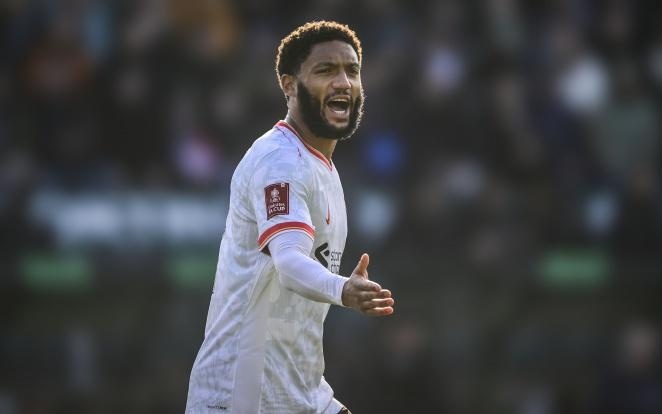 他们凭借主 他们凭借主